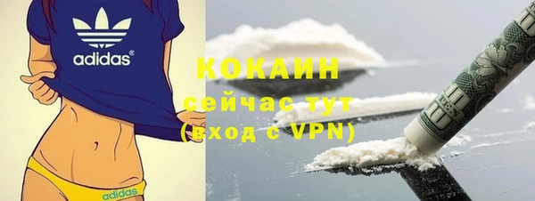 ГАЛЛЮЦИНОГЕННЫЕ ГРИБЫ Бородино