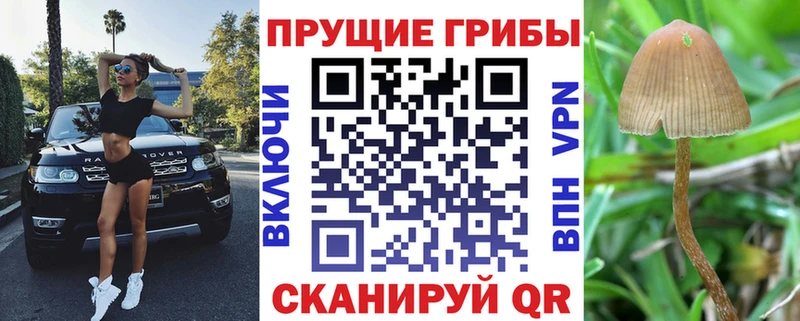 продажа наркотиков  MEGA вход  Галлюциногенные грибы MAGIC MUSHROOMS  Черемхово 
